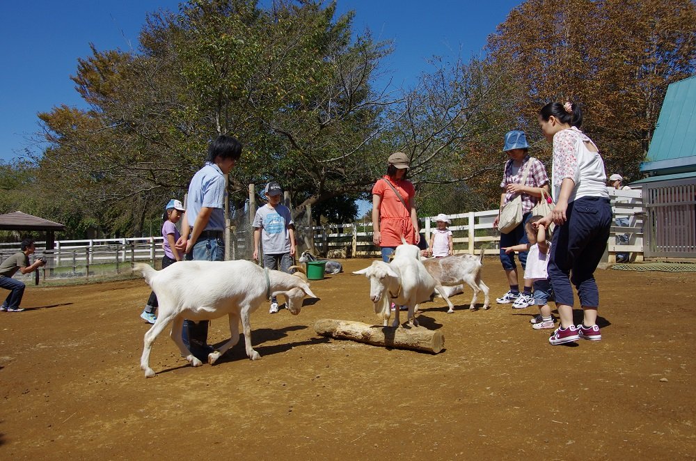ふなばしアンデルセン公園 どうぶつふれあい広場