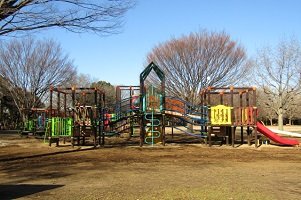 わんぱく広場の大型遊具