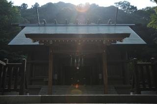 安房神社の緑深い参道