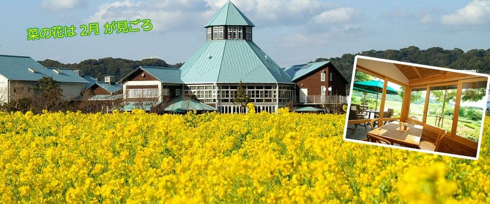 菜の花と枇杷倶楽部