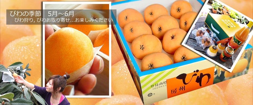 枇杷倶楽部のびわのお土産