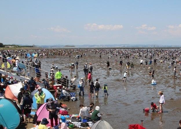 富津海岸の潮干狩り