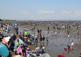 富津海岸潮干狩場の砂浜