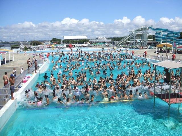富津公園の広々としたプールは家族連れに人気