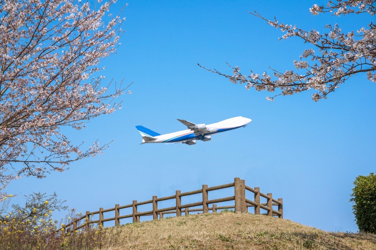 成田空港さくらの山を飛び立つ飛行機と桜