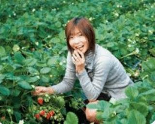 高設栽培のいちご狩り