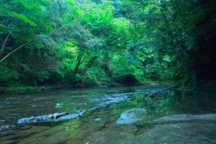 亀山温泉ホテルの千葉県一の湖・亀山湖