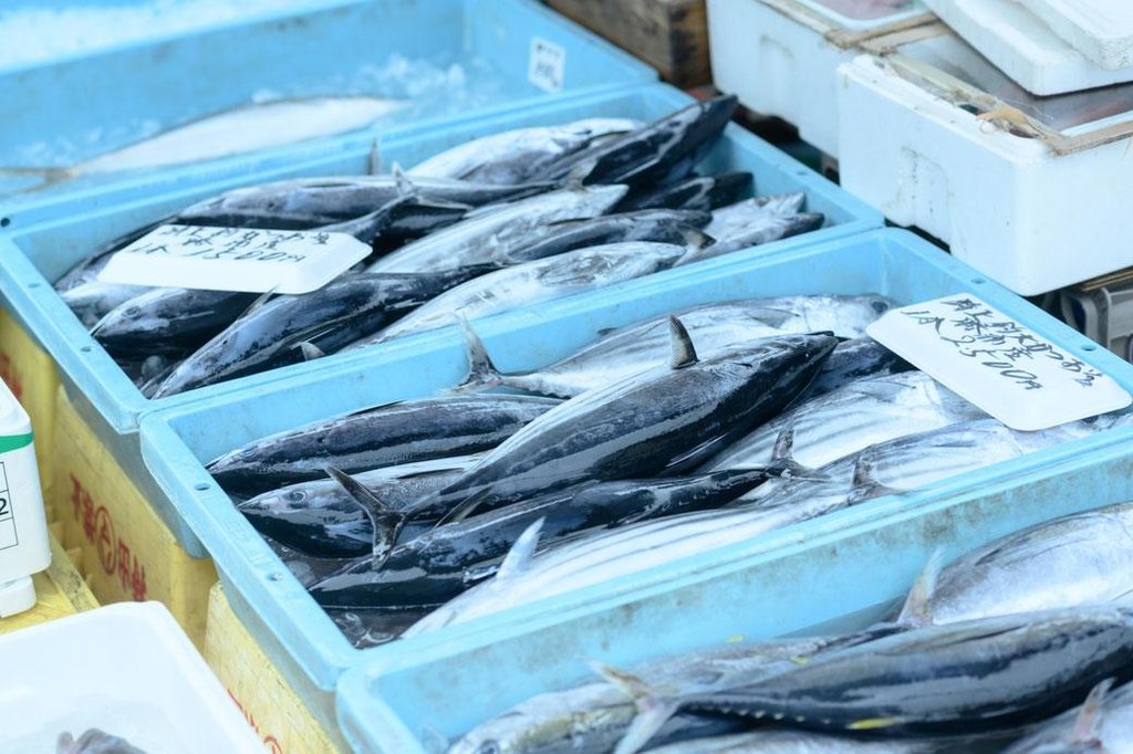 勝浦朝市のずらりと並ぶ干物