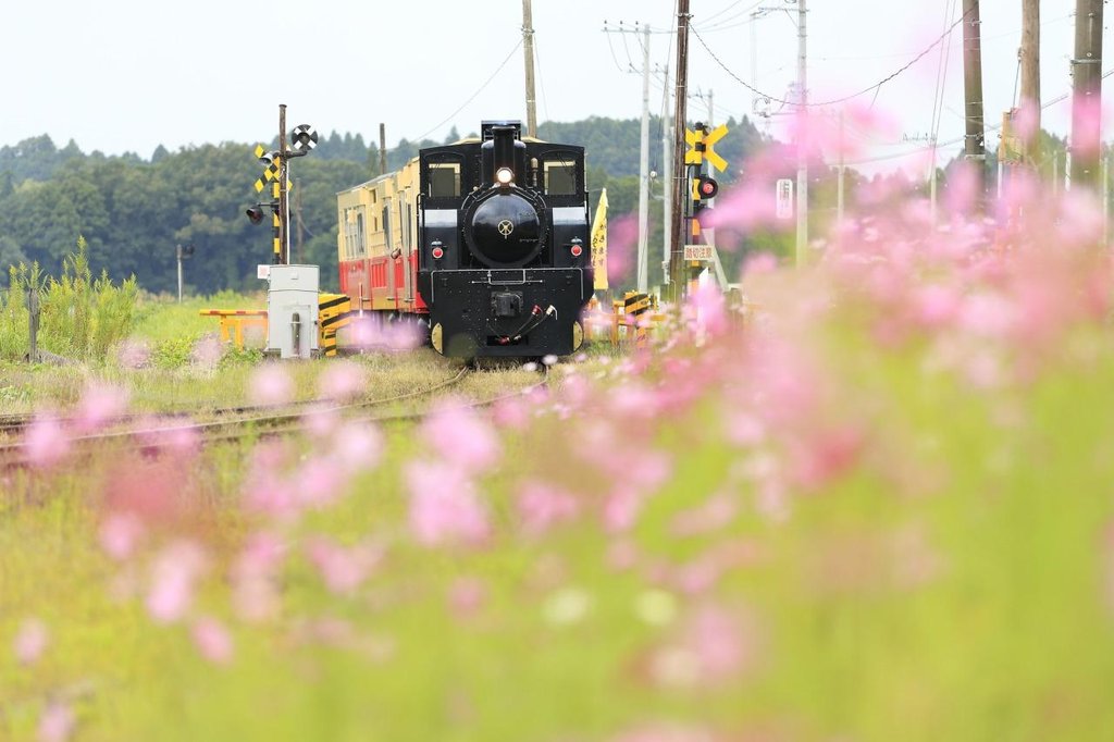 小湊鉄道の房総里山トロッコ列車