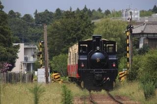 菜の花畑を走る小湊鉄道