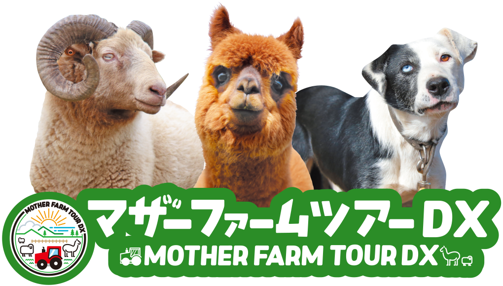 マザー牧場 動物たちとのふれあい