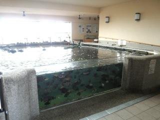 海辺の広場の水槽