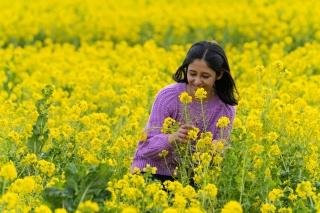 菜な畑ロードの子どもと一緒に花摘み体験