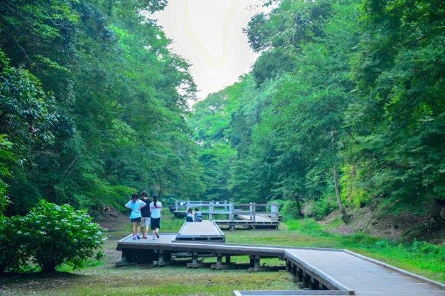 濃溝の滝の木道の遊歩道を散策