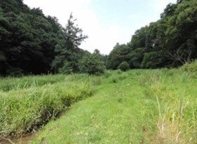 大町公園・長田谷津の自然観察園の景観