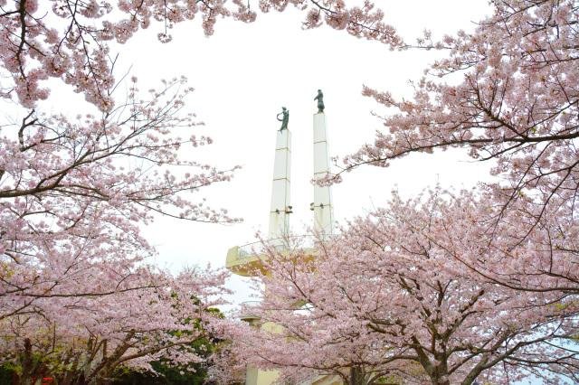 太田山公園のきみさらずタワーと桜