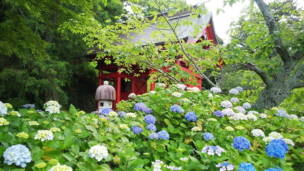 館山の四季の景色