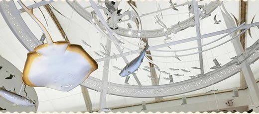ふなばし三番瀬環境学習館の館内展示