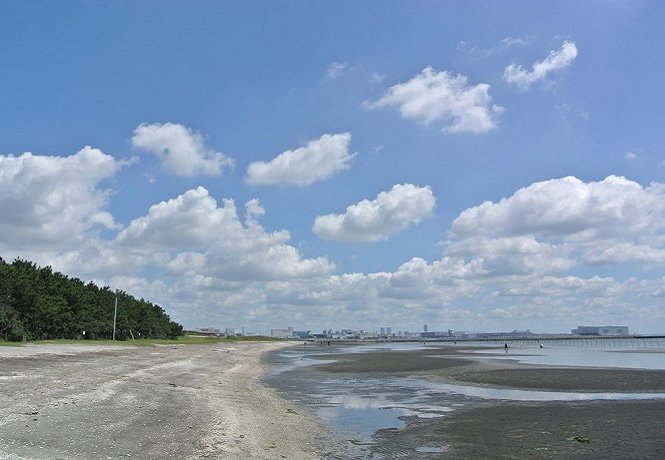 ふなばし三番瀬海浜公園の干潟と東京湾