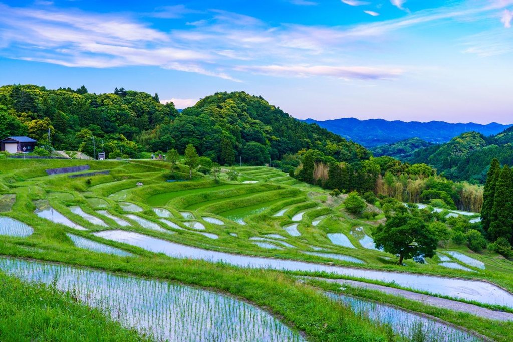 大山千枚田の水鏡