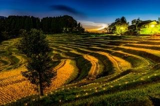 大山千枚田の夕景