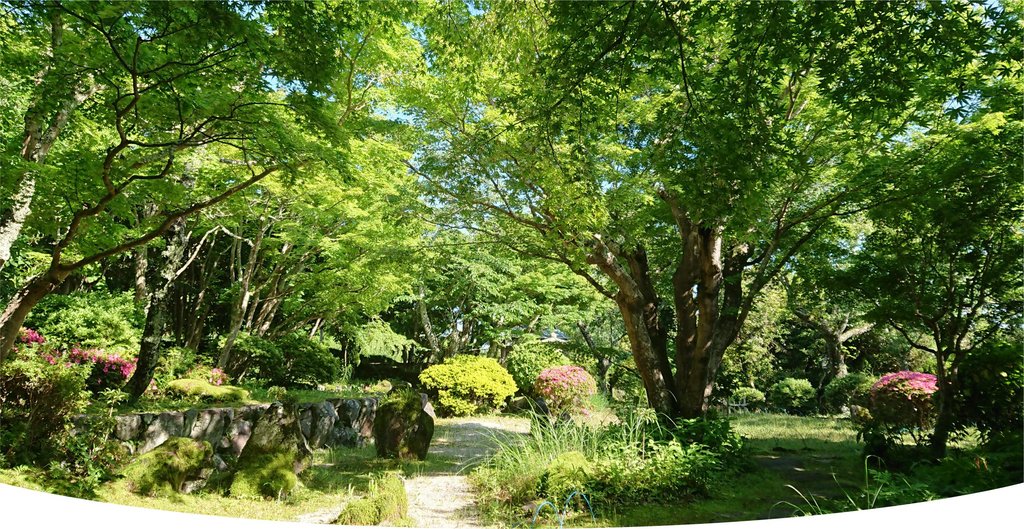 城山公園の緑豊かな城山公園