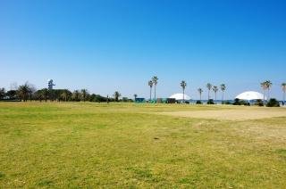 袖ヶ浦海浜公園ののびのび遊べる広い芝生広場
