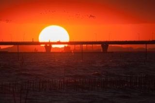袖ヶ浦海浜公園の夕日
