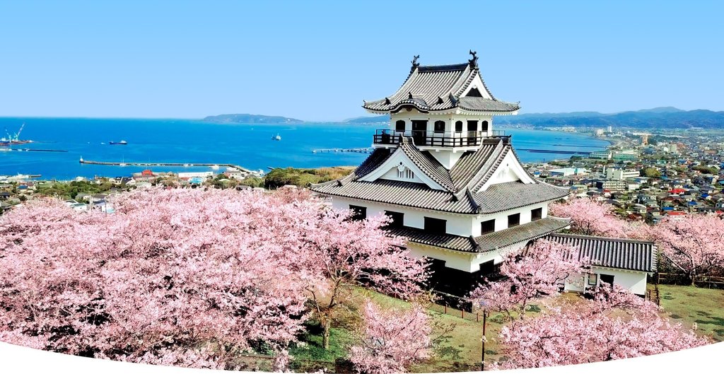 桜と館山城