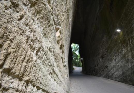 燈籠坂大師の切通しトンネルの岩壁に包まれた参道