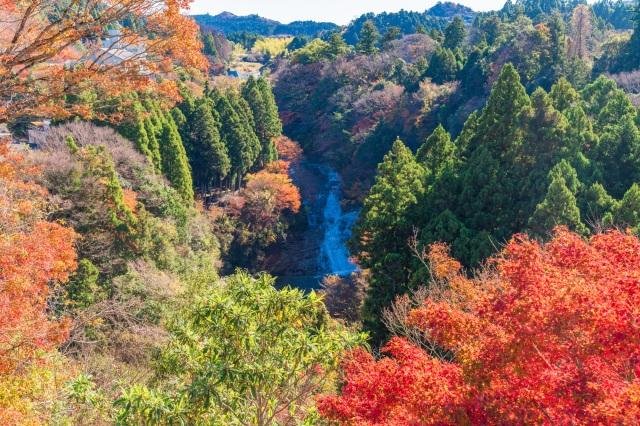 養老渓谷の渓谷美