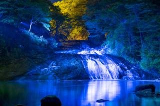 養老渓谷の紅葉ライトアップ