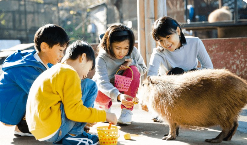 カピバラへの餌やりふれあい