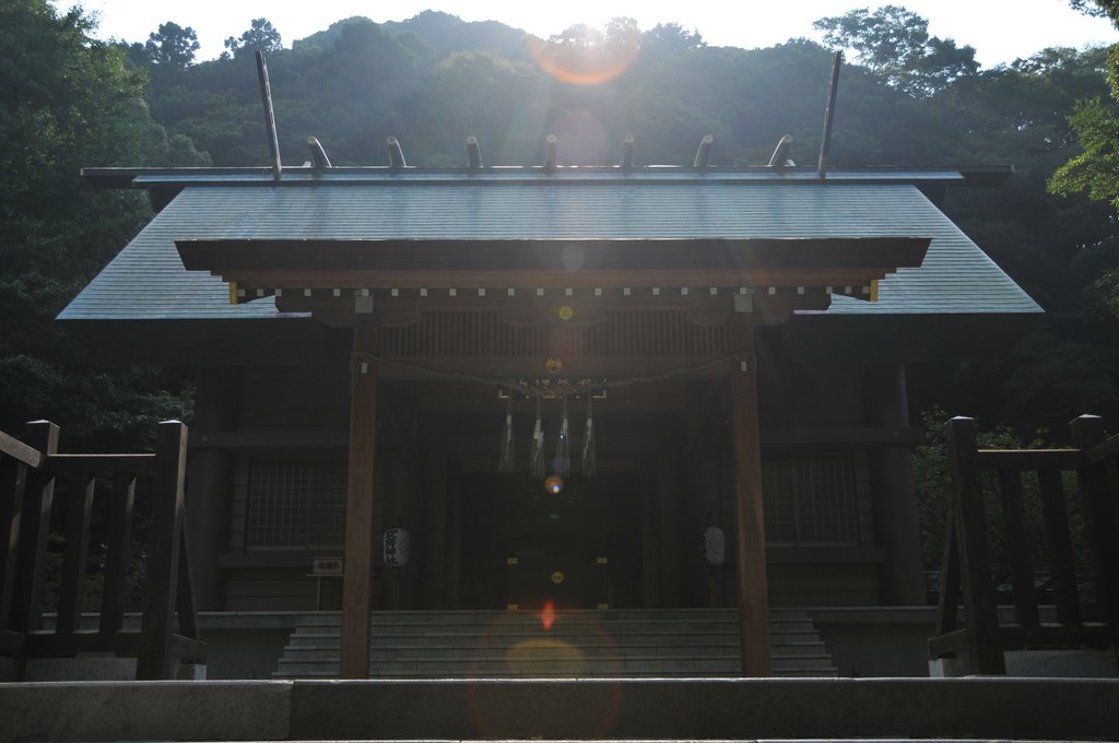 安房神社の緑深い参道