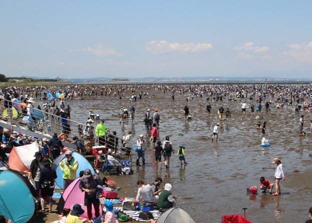 富津海岸潮干狩場の砂浜