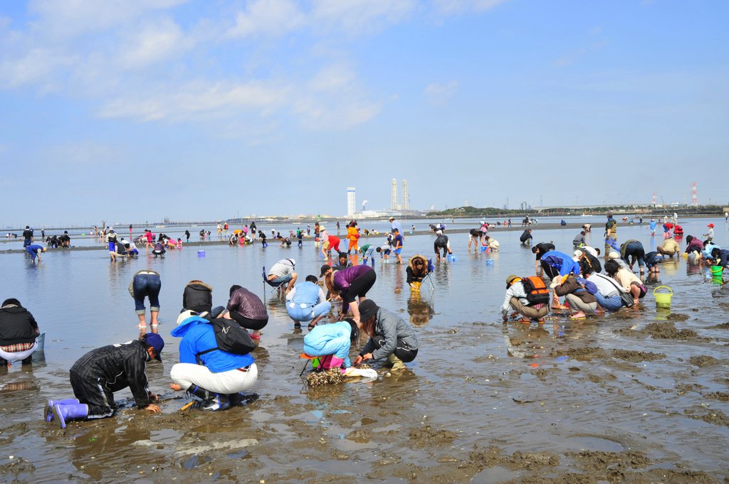 富津海岸潮干狩りの広い浜辺は家族連れに人気