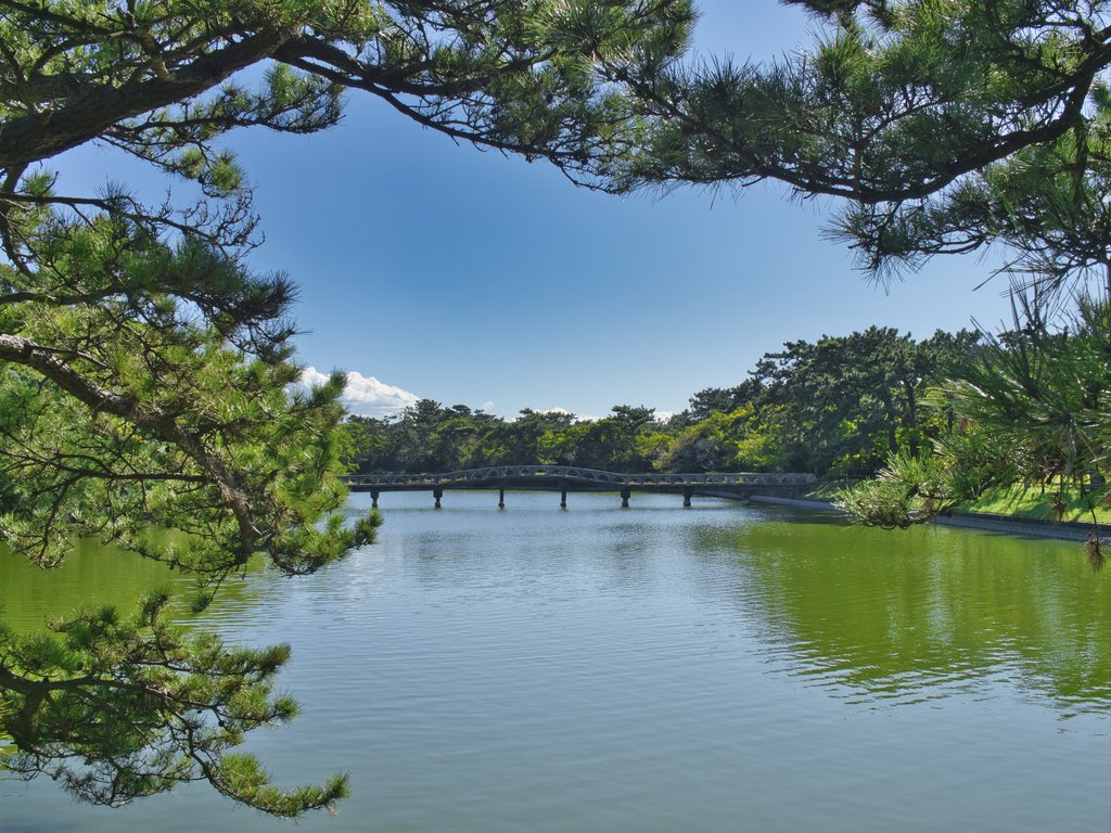 富津公園の大池と中の島