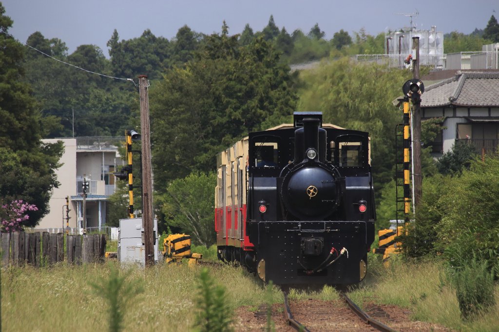 菜の花畑を走る小湊鉄道