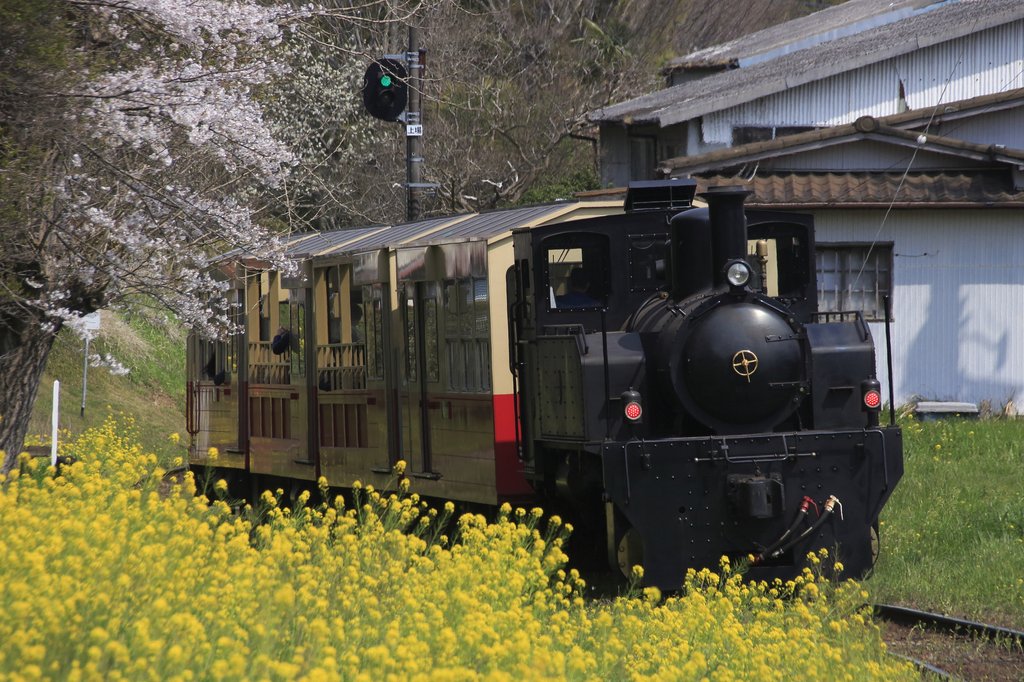 房総里山トロッコ列車