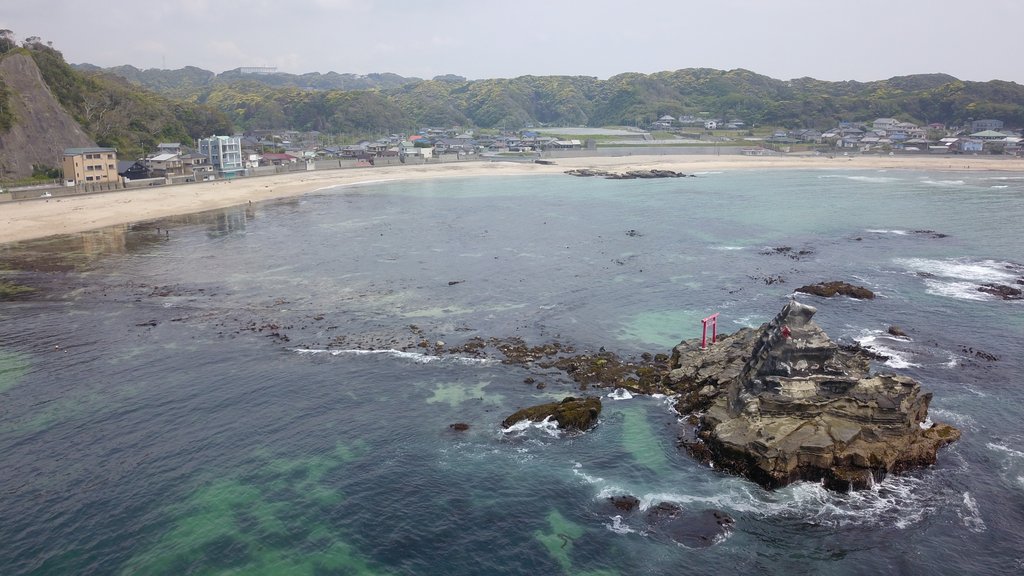 守谷海岸の磯では生きもの探しも