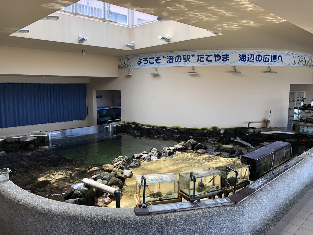 渚の博物館の展示