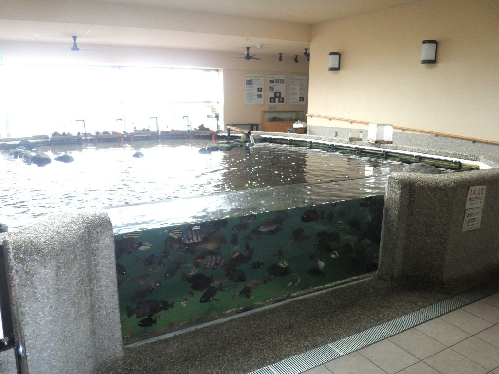海辺の広場の水槽