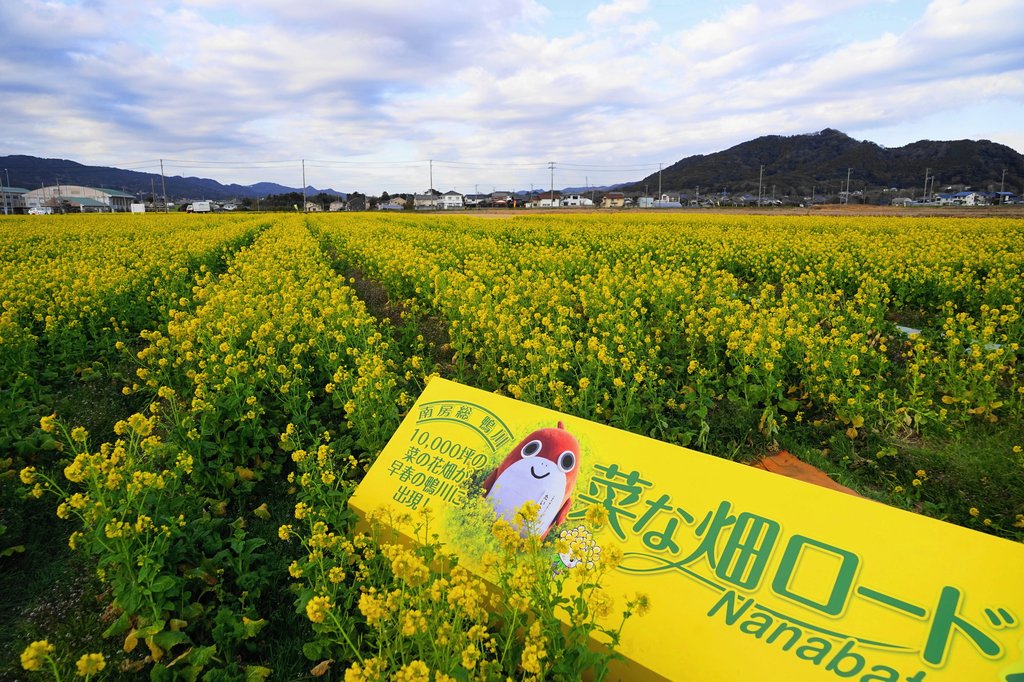 菜な畑ロードの看板