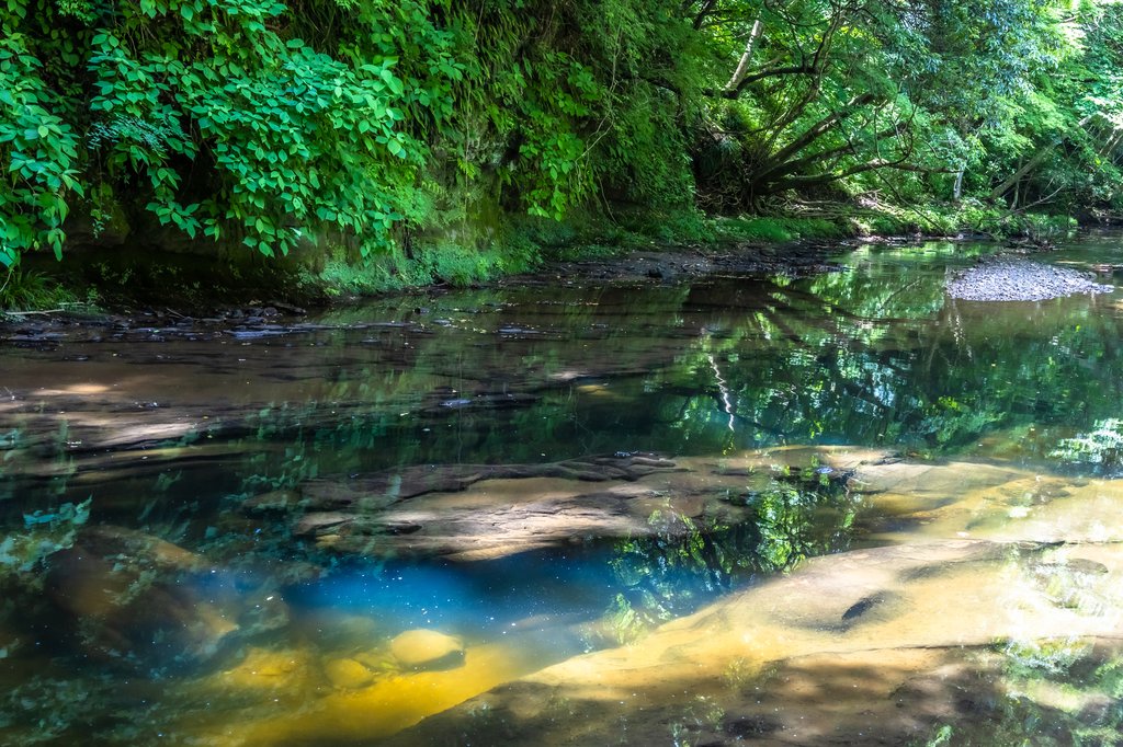 濃溝の滝の夏は渓流で川遊びも