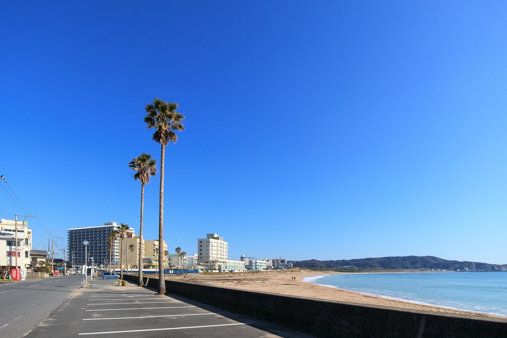 御宿・月の沙漠のヤシが揺れる御宿海岸