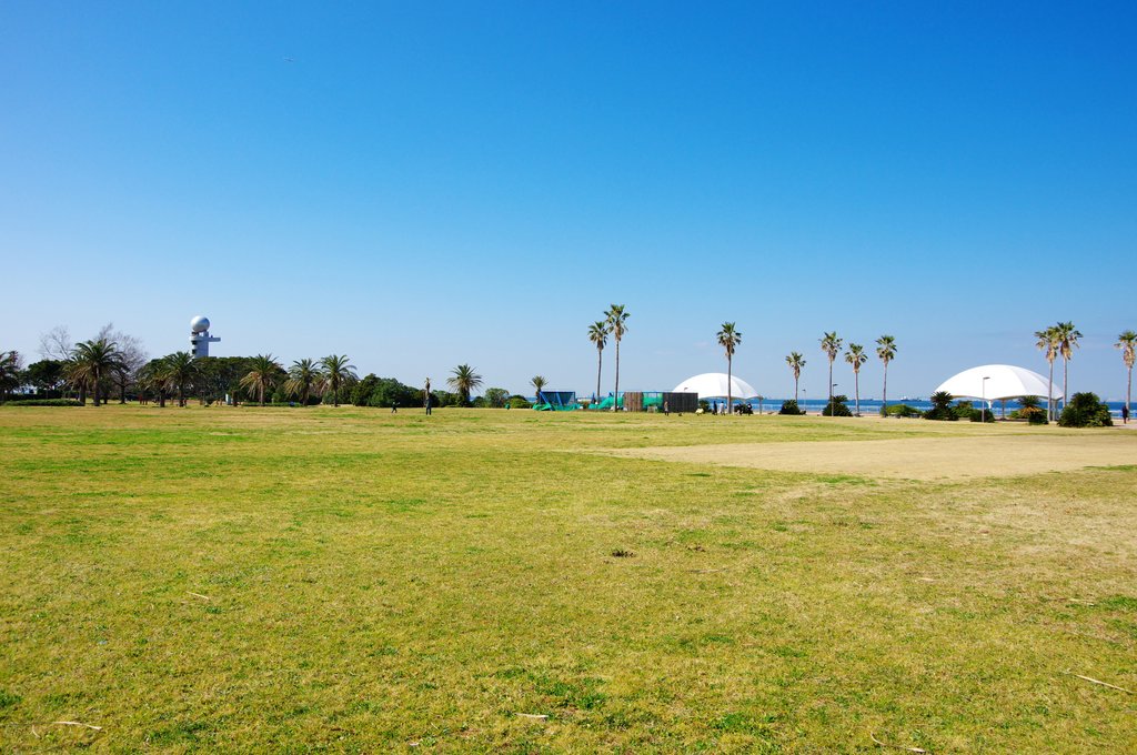 袖ヶ浦海浜公園ののびのび遊べる広い芝生広場
