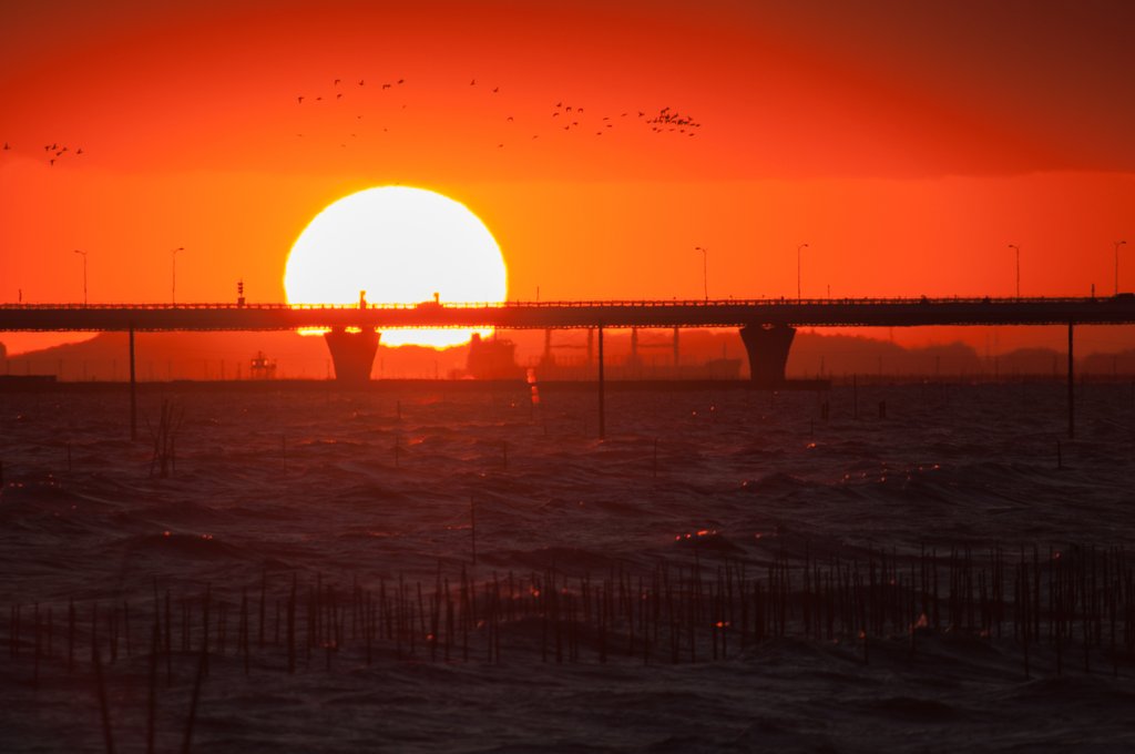 袖ヶ浦海浜公園の夕日