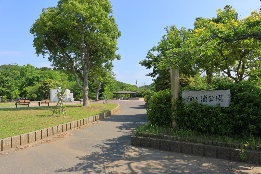 袖ケ浦公園の桜並木