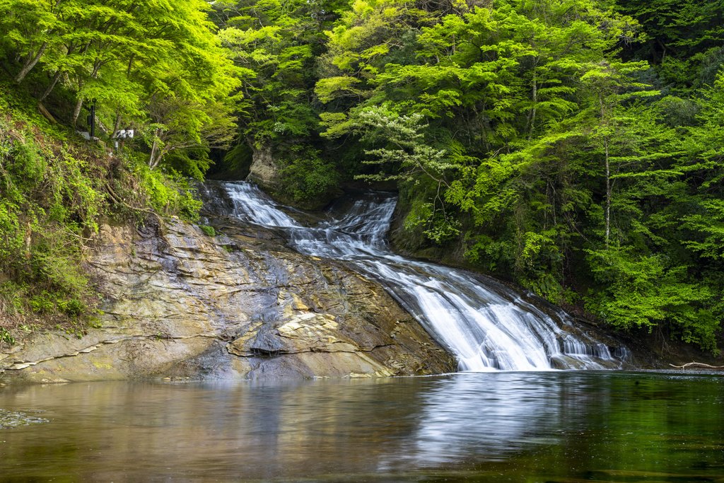 粟又の滝の川遊び